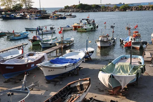 Akçakoca