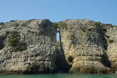 Ağva