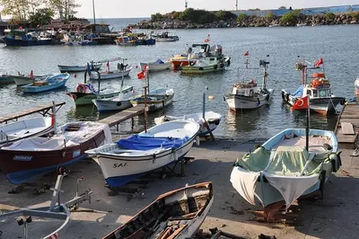 Akçakoca