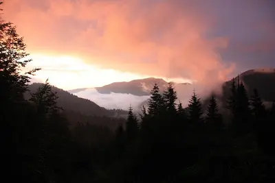 Artvin