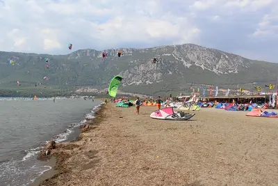 Urla